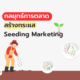กลยุทธ์การตลาดที่สร้างกระแส Seeding Marketing