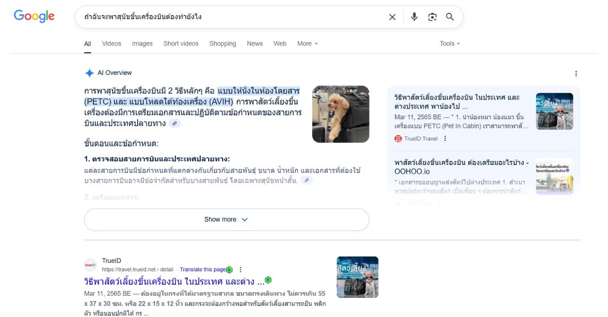 Google อัปเดตล่าสุด - AI Overview