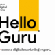 Google Digital Guru