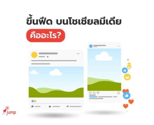 ขึ้นฟีด คืออะไร
