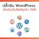 ปลั๊กอิน WordPress ที่จำเป็น สำหรับเว็บไซต์ธุรกิจ SME