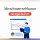วัดผลการทำโฆษณา ยังไง